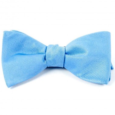 Papion self-tie bleu